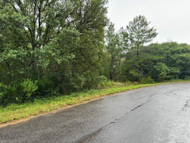 Land for sale in Ocklawaha, Florida