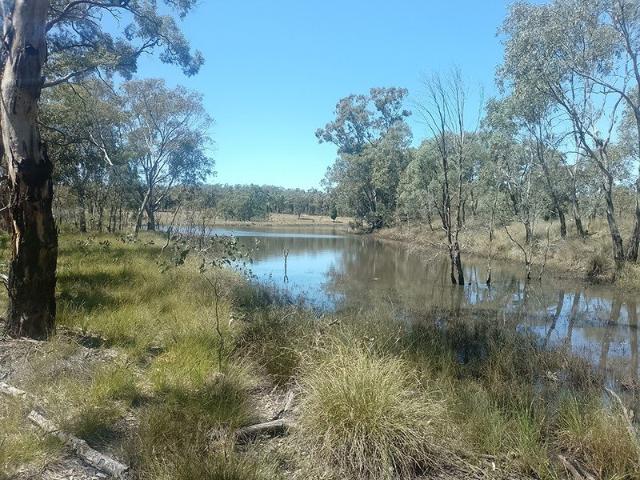 Cottage for sale in Dunedoo, New South Wales