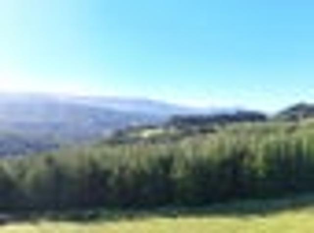 Land for sale in Aranga, Northland