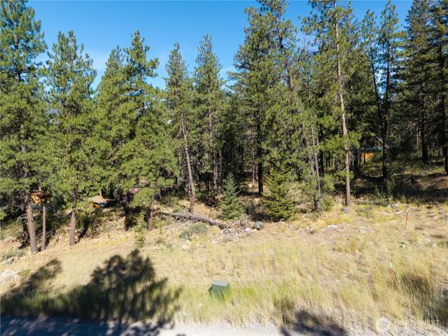 Land for sale in Winthrop, Washington