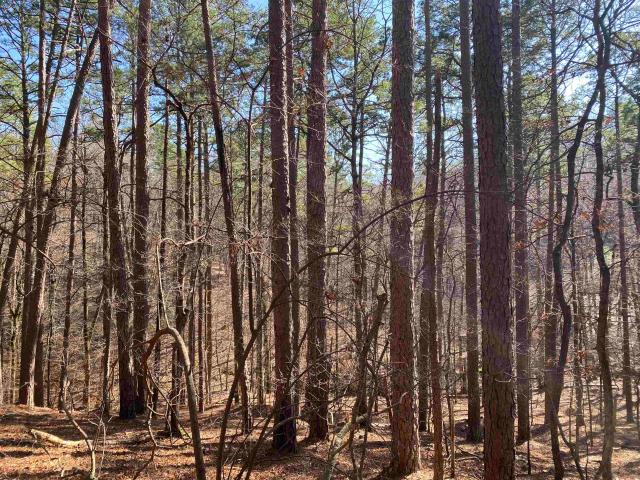 Land for sale in Ark