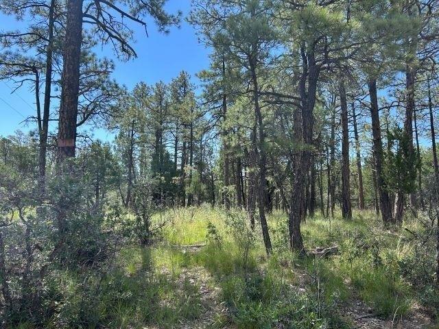 Land for sale in Timberon, New Mexico