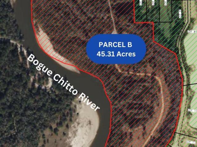Land for sale in Franklinton, Louisiana