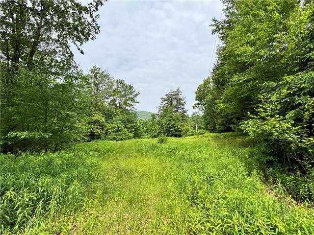 Land for sale in Chenango Bridge, New York