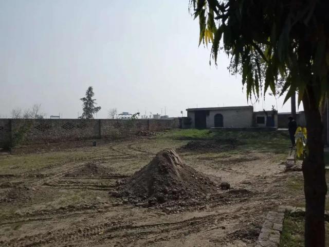 Land for rent in لاہور, لاہور ڈویژن