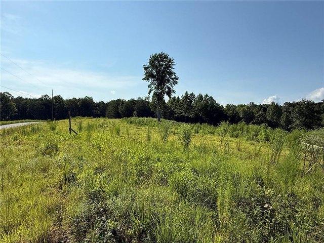 Land for sale in Dahlonega, Georgia
