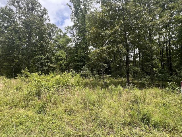 Land for sale in Tennessee