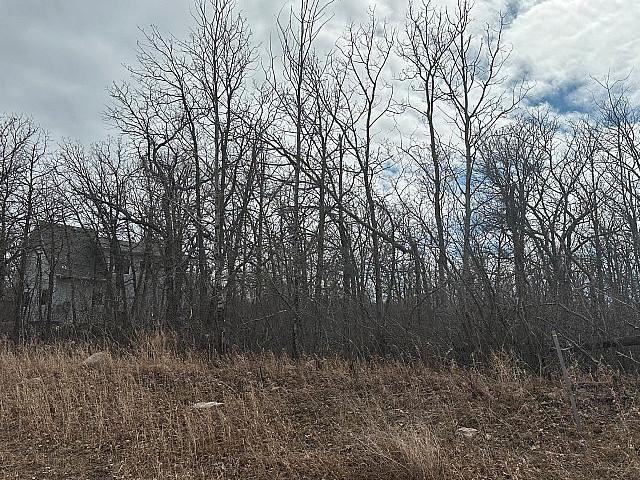 Land for sale in Alexander, Manitoba