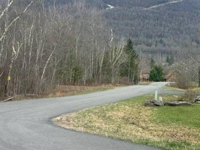 Land for sale in East Jewett, New York