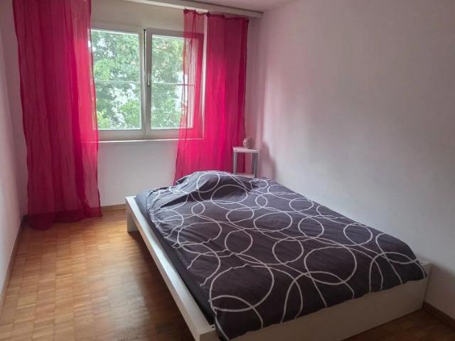 Studio mieten in Buchs (ZH), Zürich