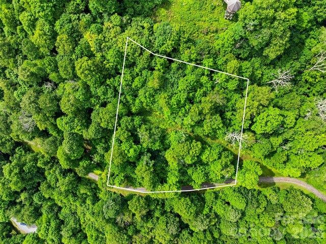 Land for sale in Mars Hill, North Carolina