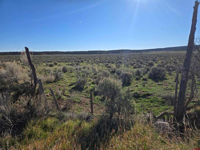 Land for sale in Glade Park, Colorado