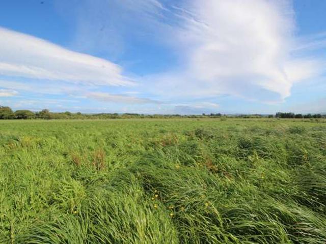 Property for sale in Tararua District
