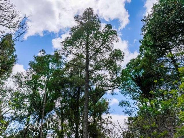 House for sale in Maungaturoto, Northland