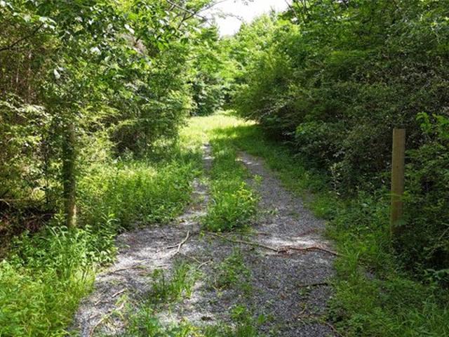 Land for sale in Alpine, Alabama