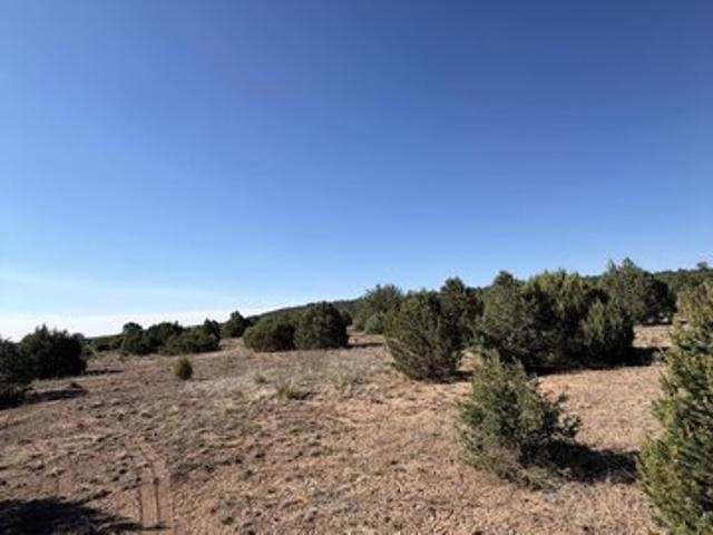Land for sale in Placitas, New Mexico