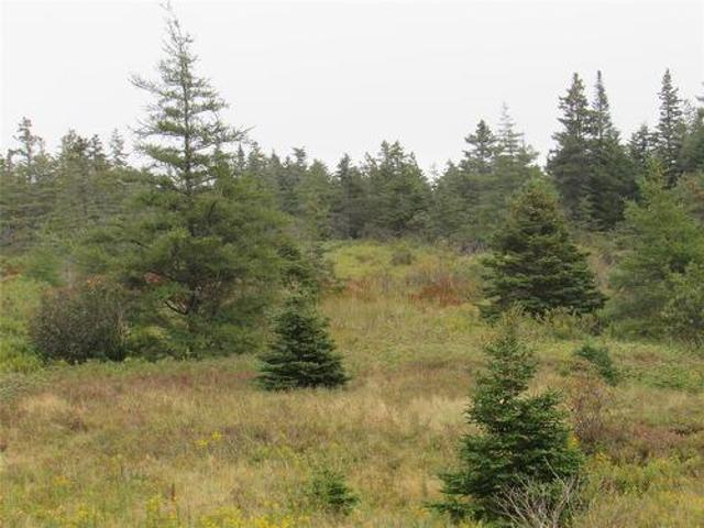 Land for sale in Colliers, Newfoundland And Labrador