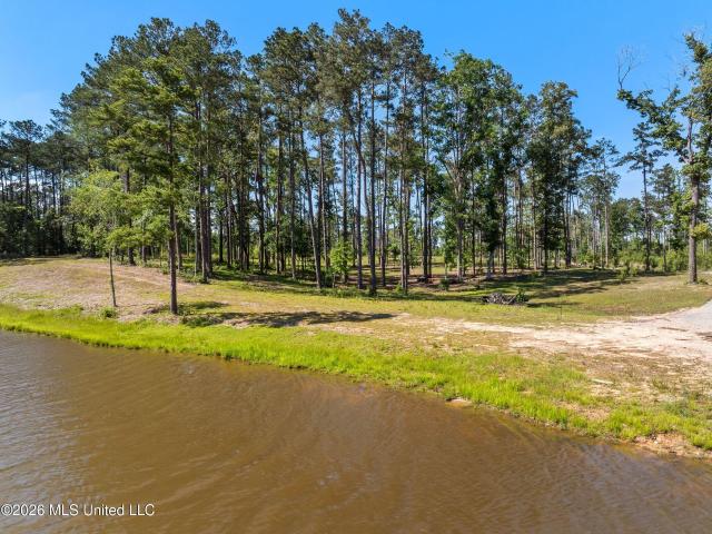 Land for sale in Sumrall, Mississippi