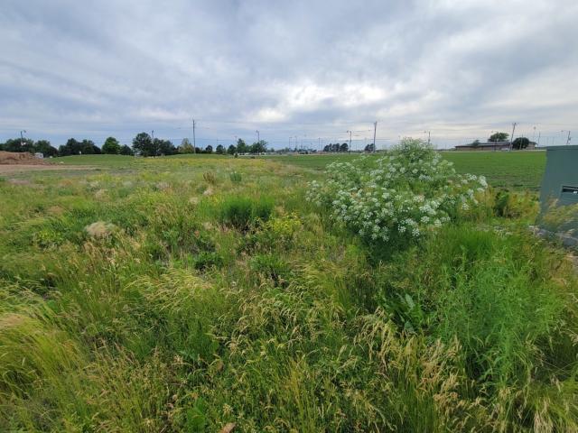 Land for sale in Peru, Illinois