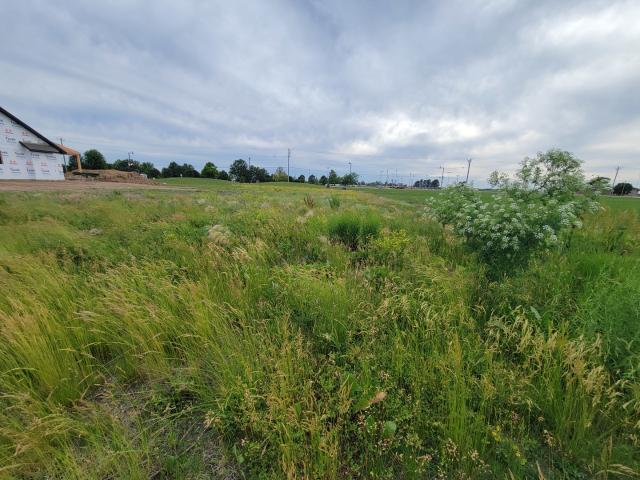 Land for sale in Peru, LaSalle County