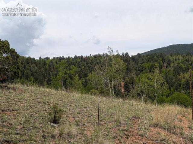 Land for sale in Teller, Colorado