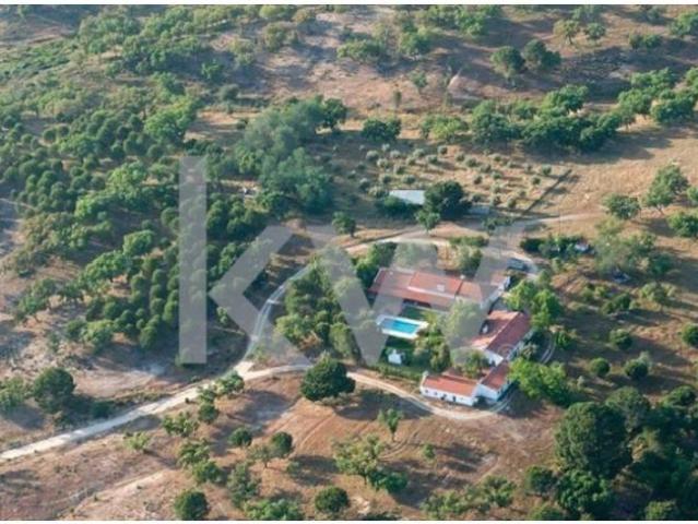 Terreno venda em Foros do Mocho, Ponte De Sor