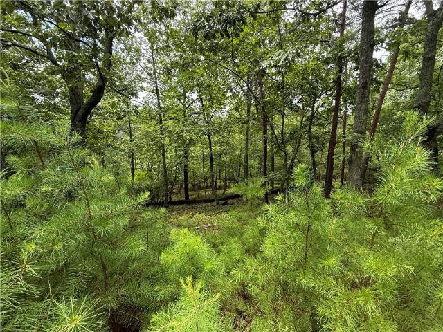 Land for sale in Bartow, Georgia