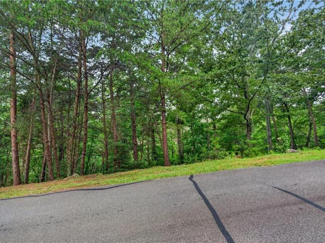 Land for sale in Bartow, Georgia