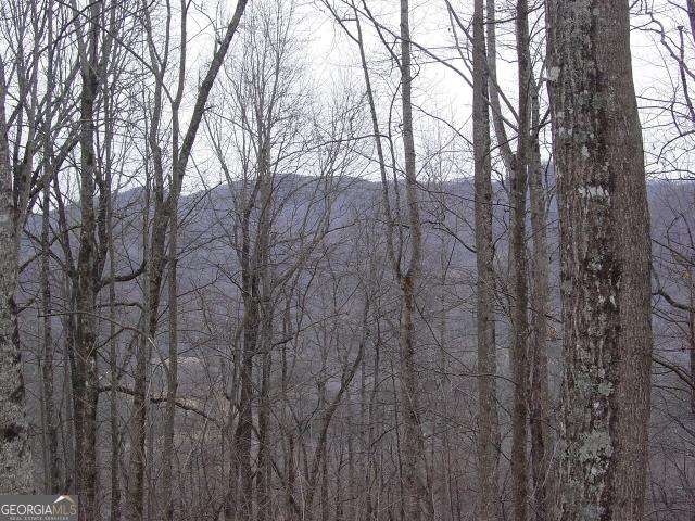 Land for sale in Hiawassee, Georgia