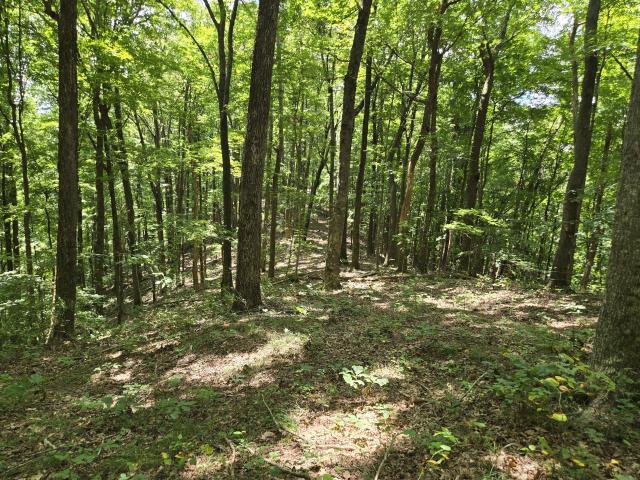 Land for sale in Tennessee