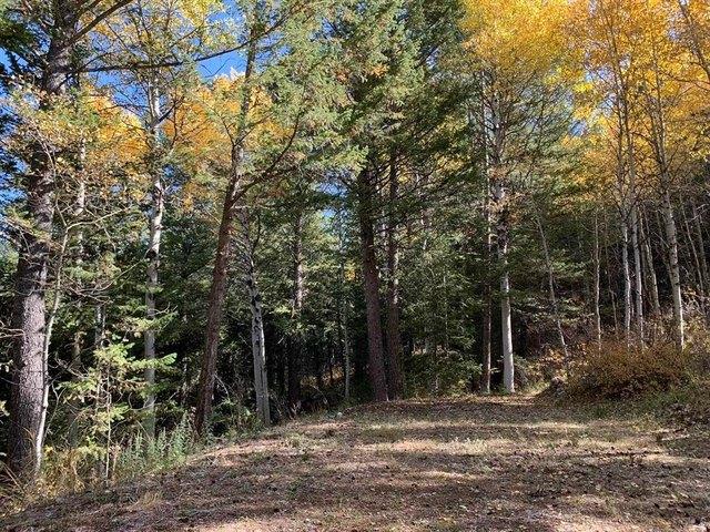 Land for sale in Bannock, Idaho