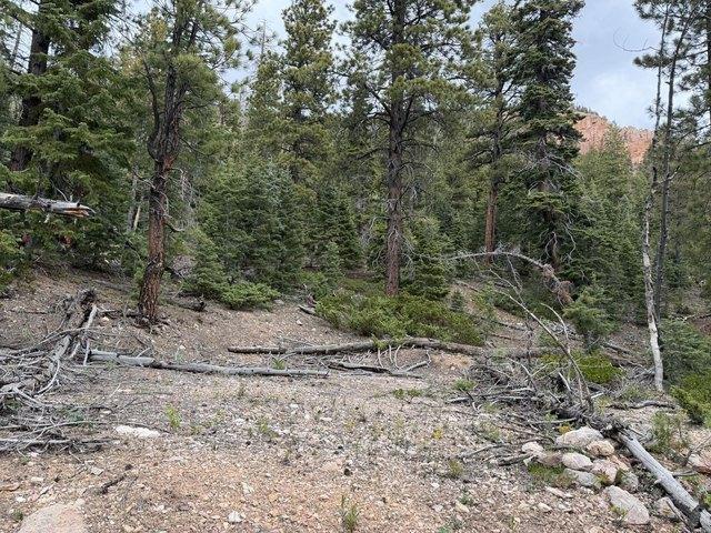 Land for sale in Duck Creek Village, Utah