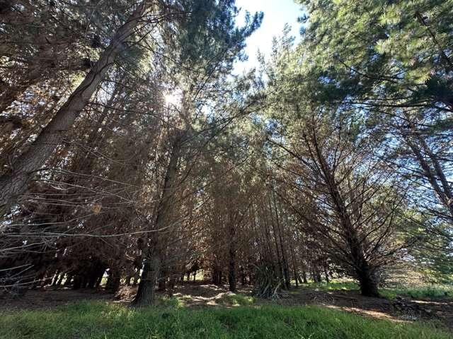 Land for sale in Horowhenua District