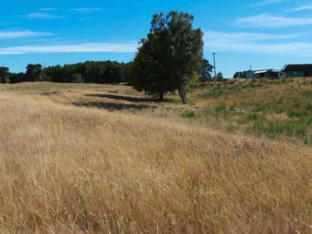 Land for sale in Taupo, Waikato