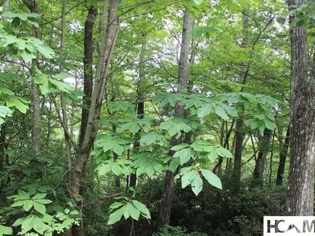 Land for sale in Transylvania, North Carolina