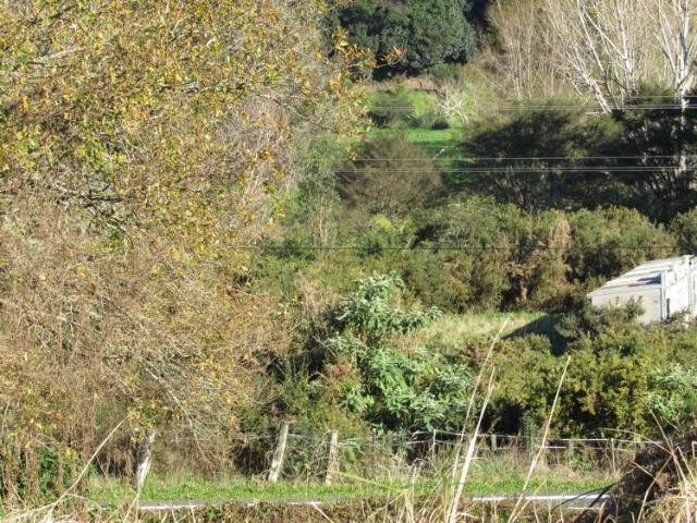 Land for sale in Karangahake, Waikato