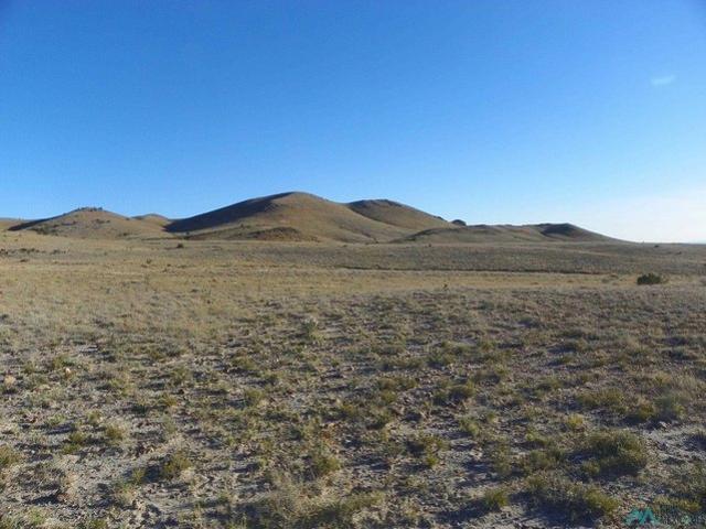 Land for sale in New Mexico