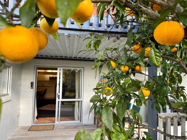 House for rent in Waikato