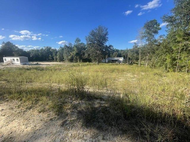 Land for sale in Williston, Levy County