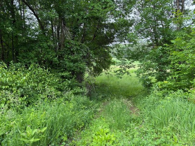 Land for sale in Rice, Minnesota