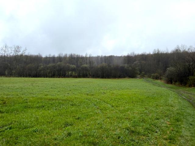 Land for sale in Cherry Creek, New York