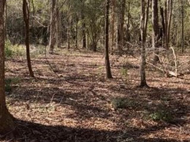 Land for sale in Warren, Tyler County