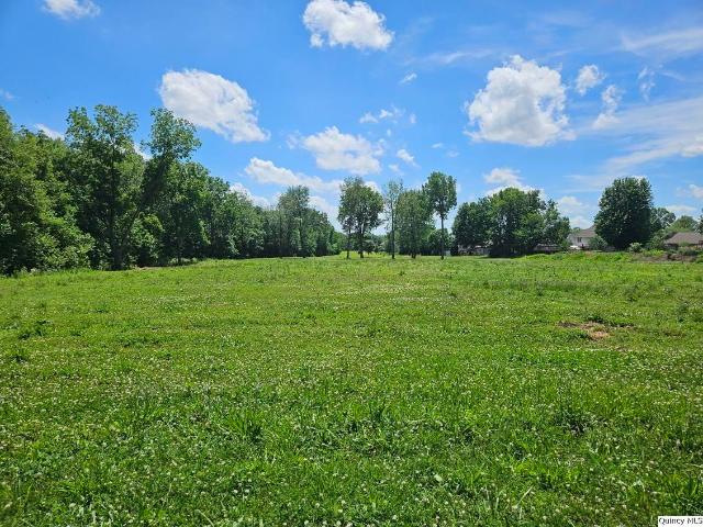 Land for sale in Adams, Illinois