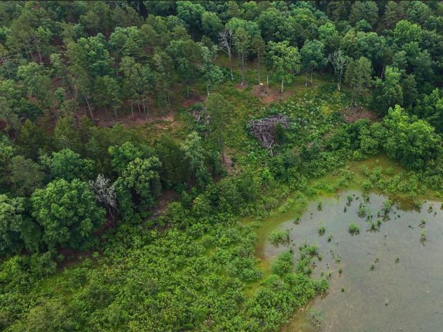 Land for sale in Ark