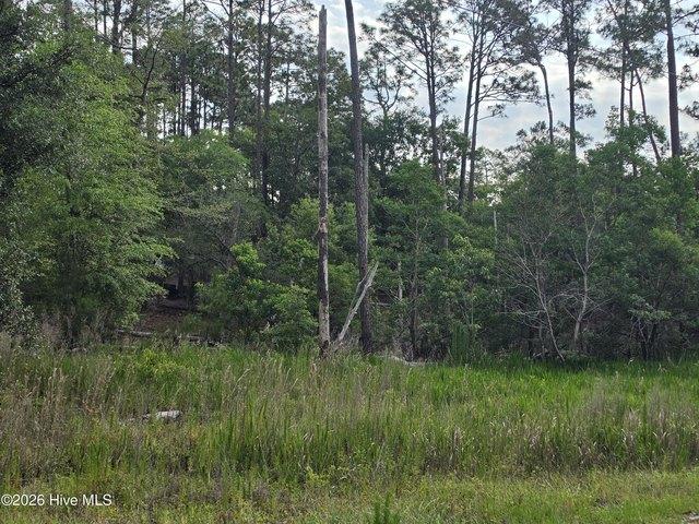 Land for sale in Southport, Brunswick County