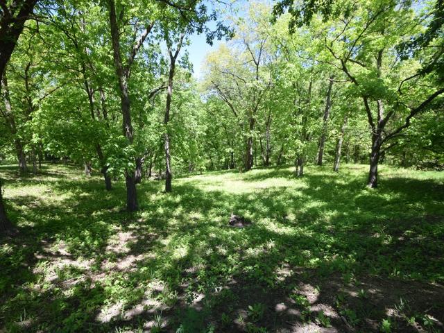 Land for sale in Unionville, Missouri