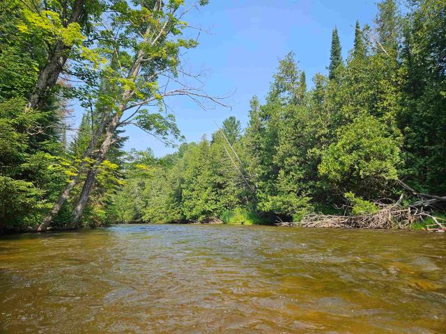 Land for sale in Michigan