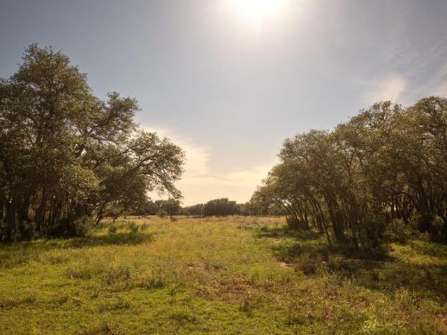 Farm for sale in Blanco, Texas