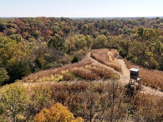 Land for sale in Carlisle, Nicholas County