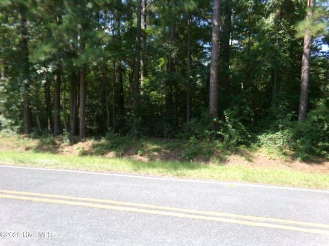 Land for sale in Clarkton, North Carolina